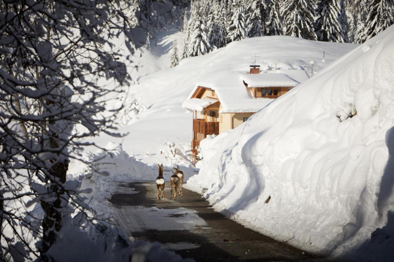 Sotciastel Antico Chalet Badia  Exterior photo